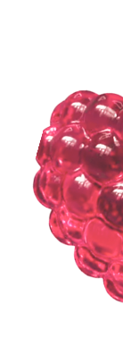 Left Top Berry