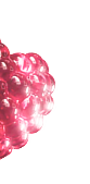 Left Top Berry